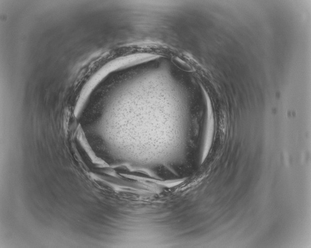 X0000087681398200706011642