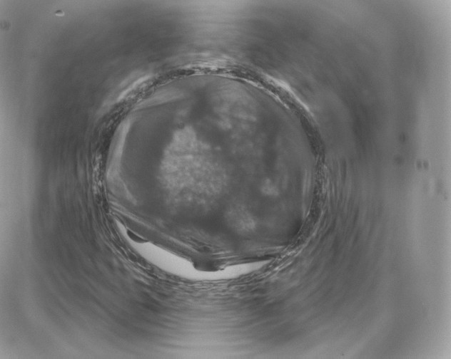 X0000087681399200706011642