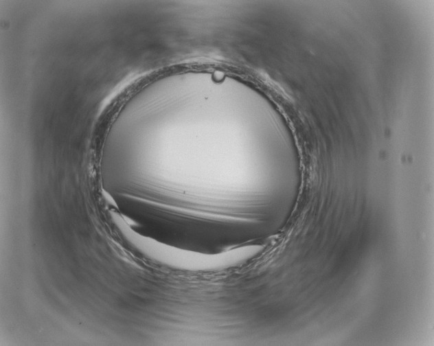 X0000087681400200706011642