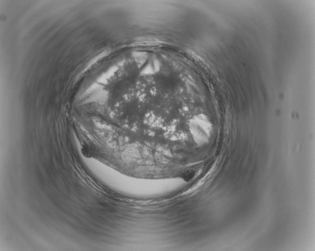 X0000087681401200706011642