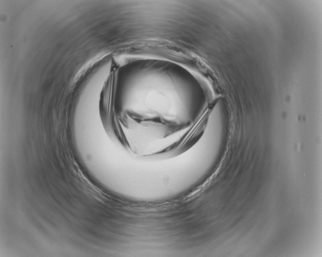 X0000087681402200706011642