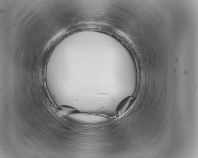 X0000087681403200706011642