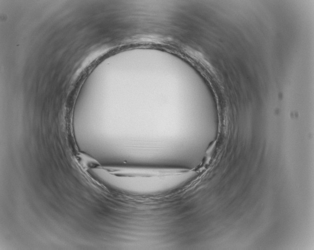 X0000087681404200706011642