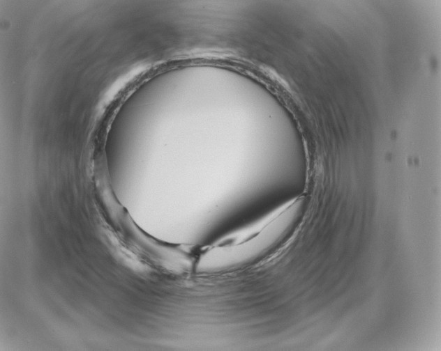 X0000087681406200706011642