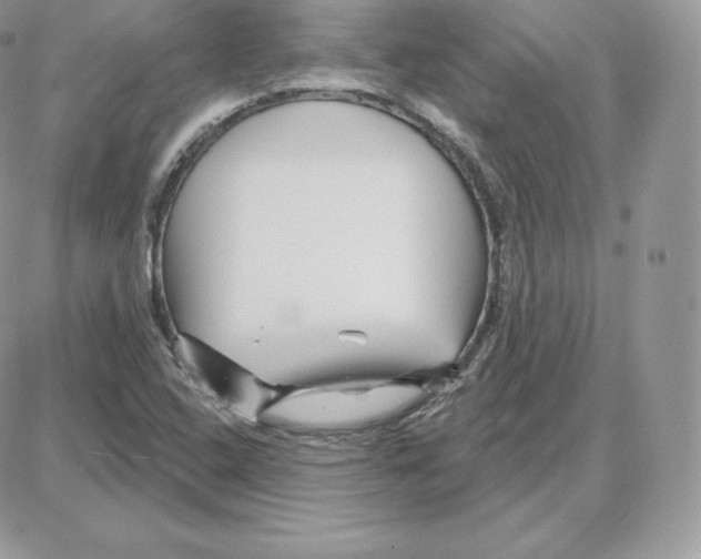 X0000087681408200706011642