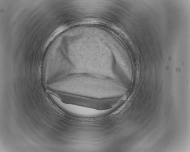 X0000087681409200706011642