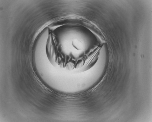 X0000087681410200706011643