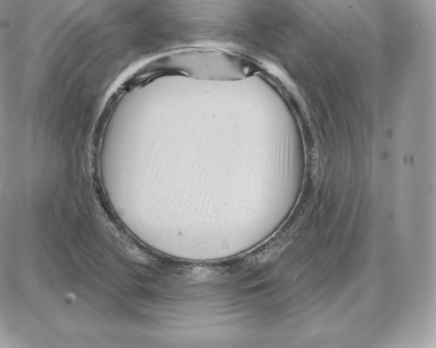 X0000087681412200706011643