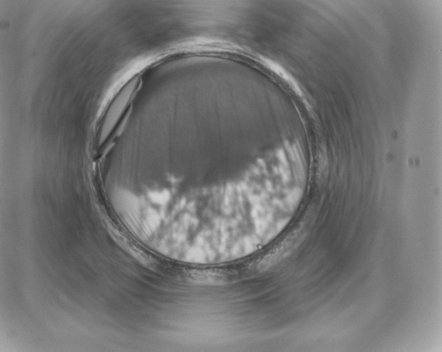 X0000087681413200706011643