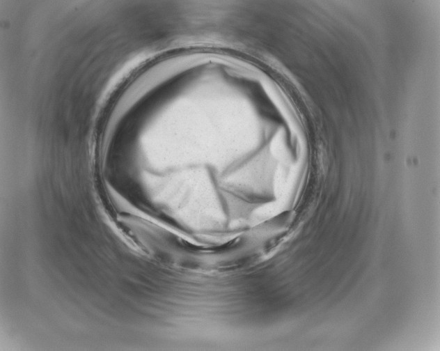 X0000087681416200706011643