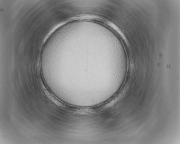 X0000087681417200706011643