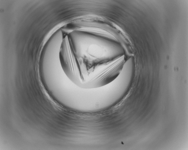 X0000087681418200706011643