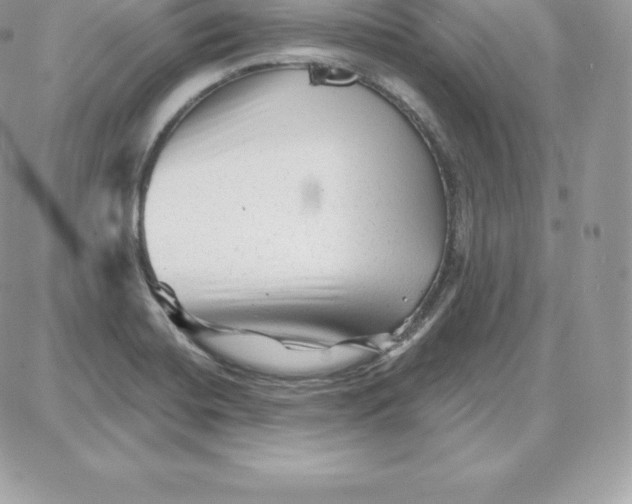 X0000087681420200706011643