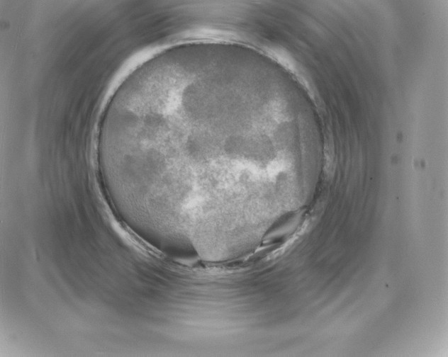 X0000087681421200706011643