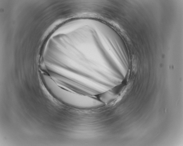 X0000087681422200706011643