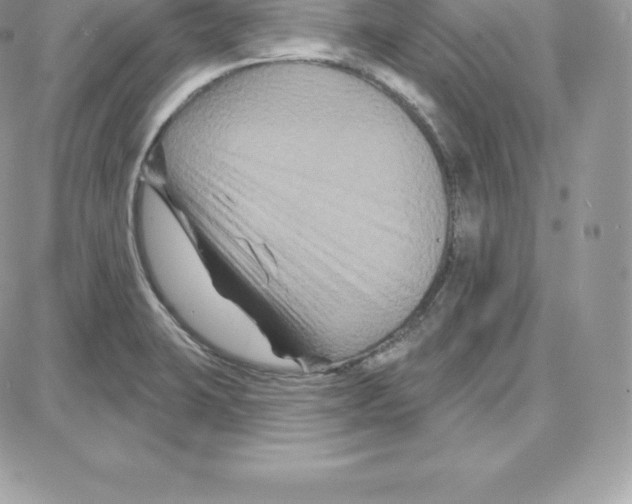 X0000087681423200706011643