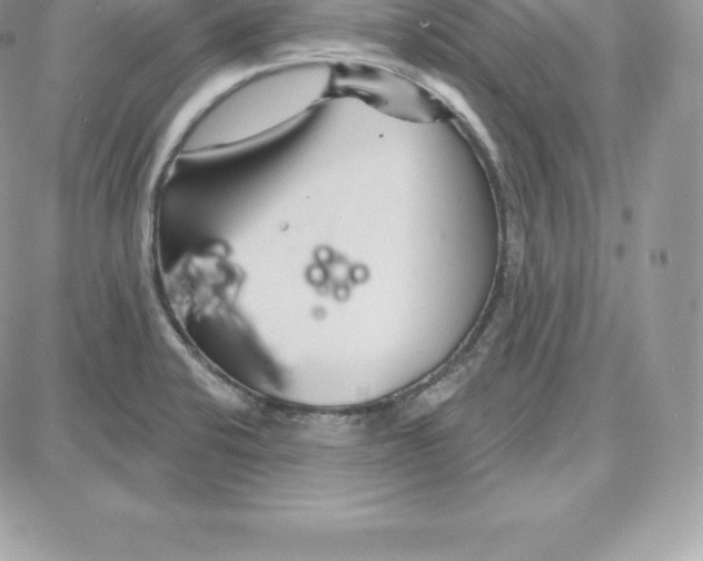 X0000087681424200706011643