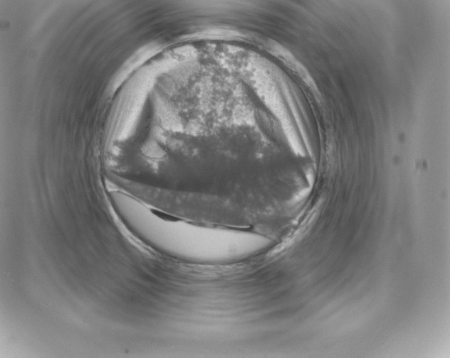 X0000087681425200706011643