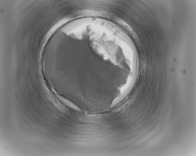 X0000087681427200706011643