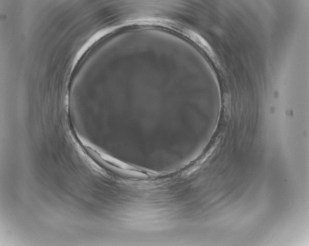 X0000087681428200706011643