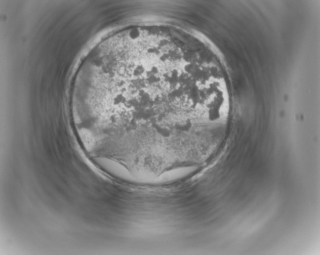 X0000087681429200706011643