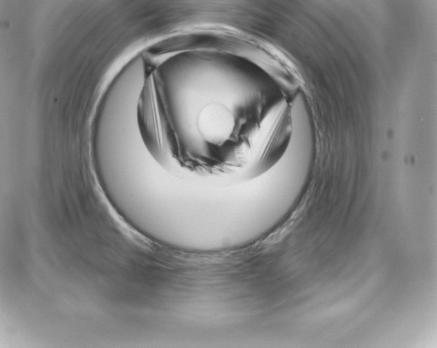 X0000087681430200706011643