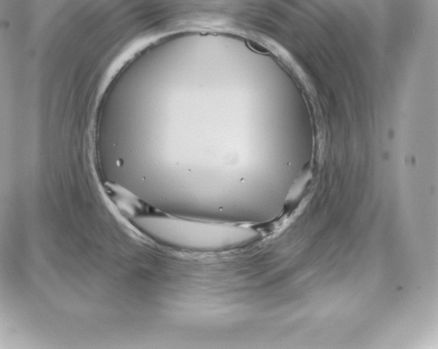 X0000087681432200706011643