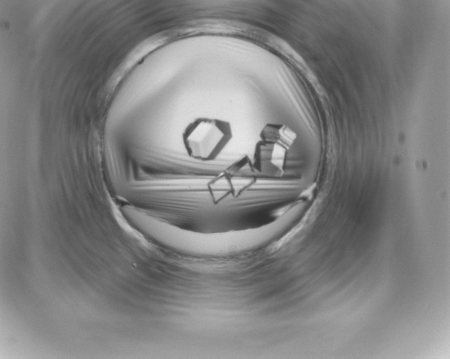 X0000087681433200706011643