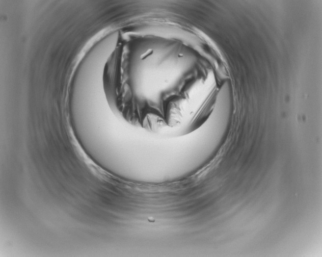 X0000087681434200706011643