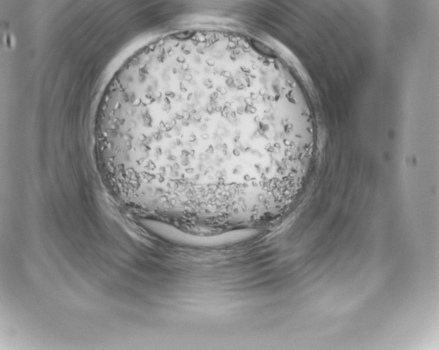 X0000087681435200706011643