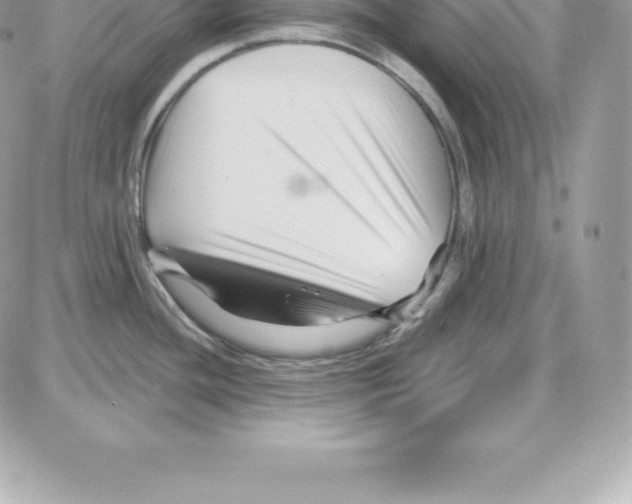 X0000087681436200706011643