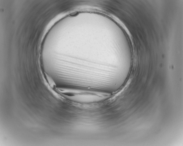 X0000087681437200706011643