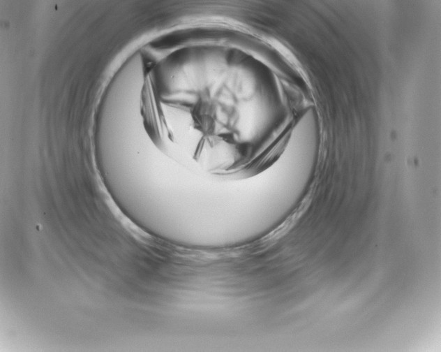 X0000087681438200706011643