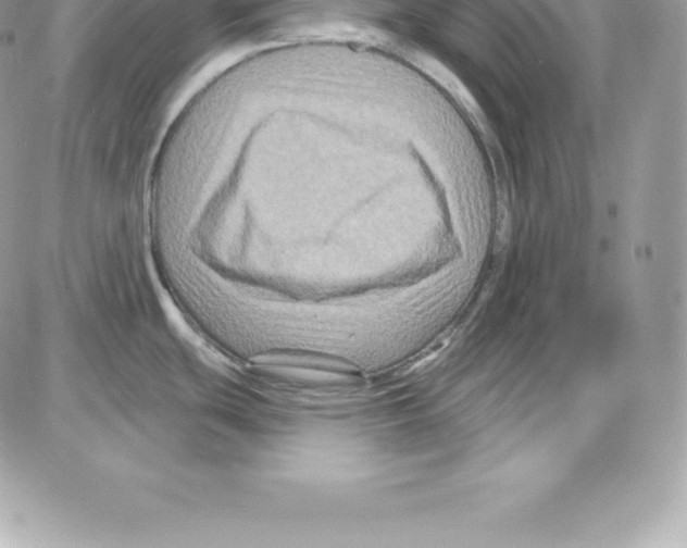 X0000087681439200706011643