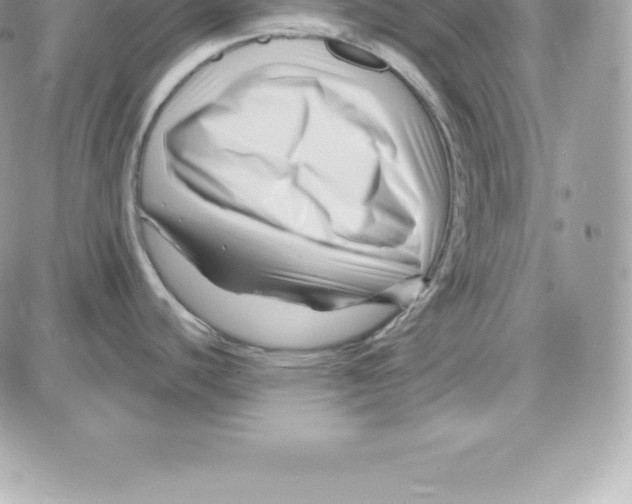 X0000087681440200706011643