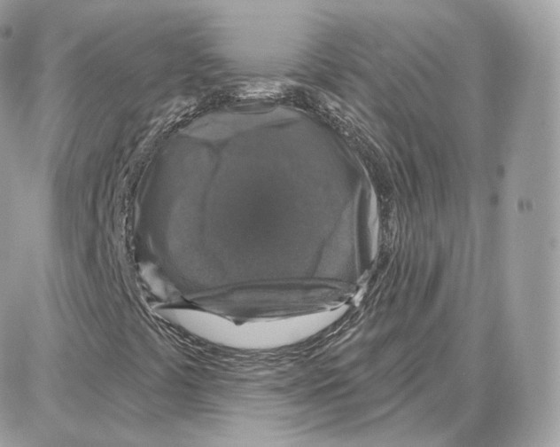 X0000087681441200706011642