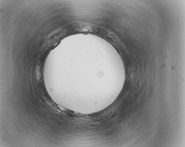 X0000087681442200706011642