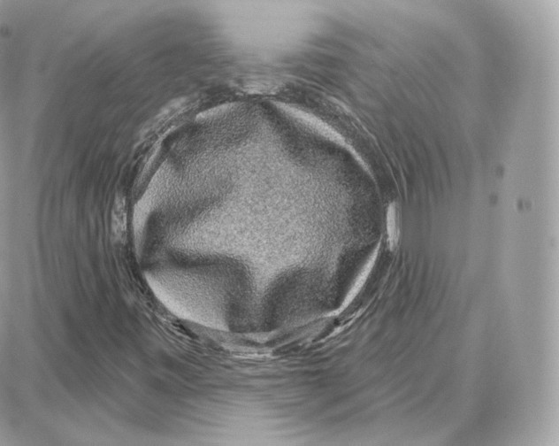 X0000087681443200706011642