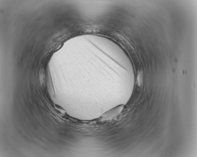 X0000087681444200706011642