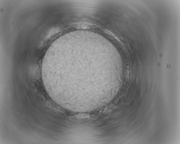 X0000087681446200706011642