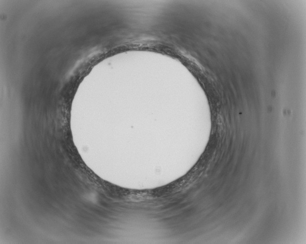 X0000087681447200706011642