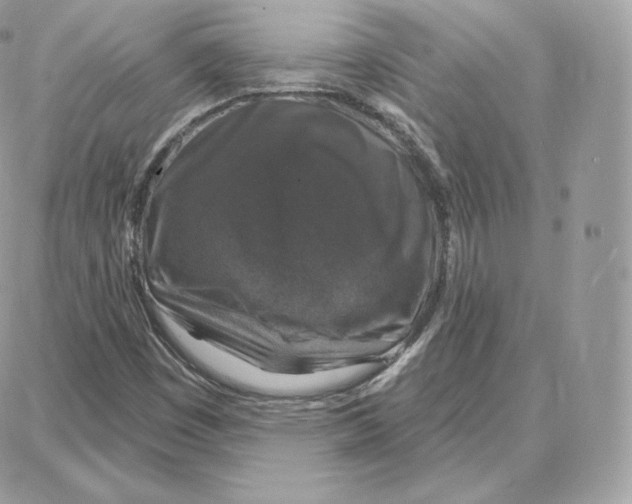 X0000087681449200706011642