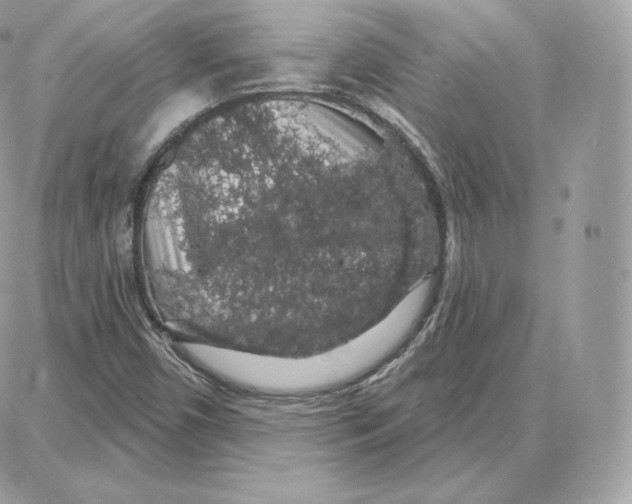 X0000087681450200706011642