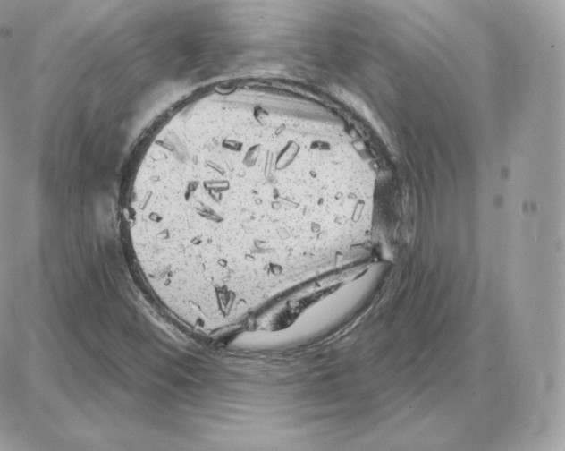 X0000087681452200706011642