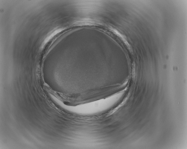 X0000087681453200706011642