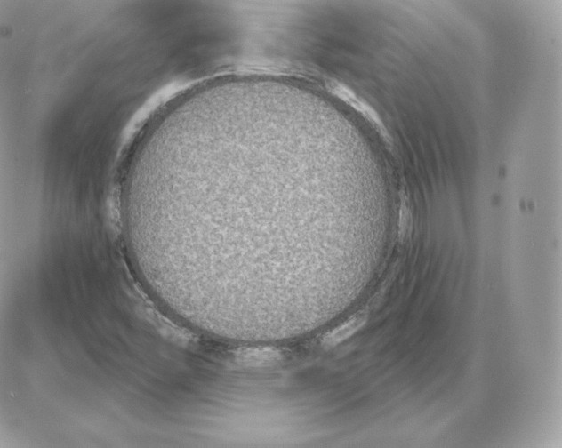 X0000087681454200706011642