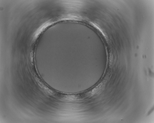 X0000087681455200706011642