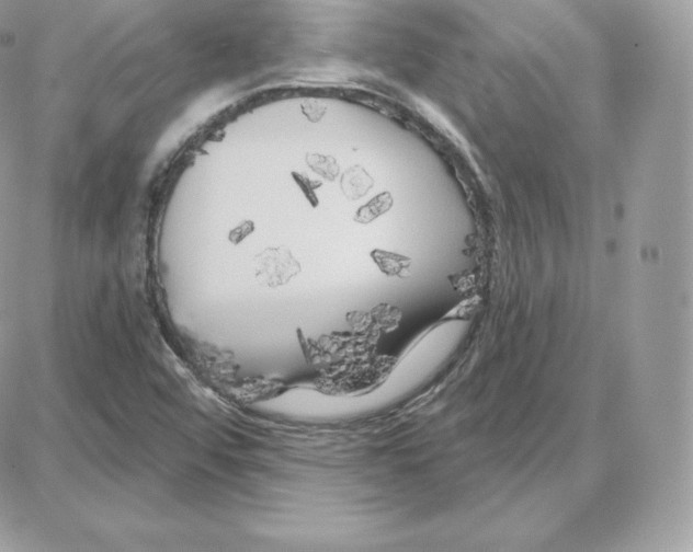 X0000087681456200706011642