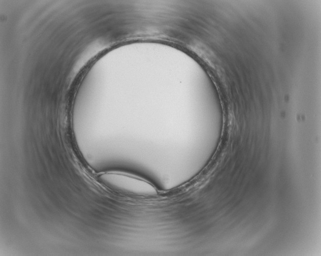 X0000087681458200706011642