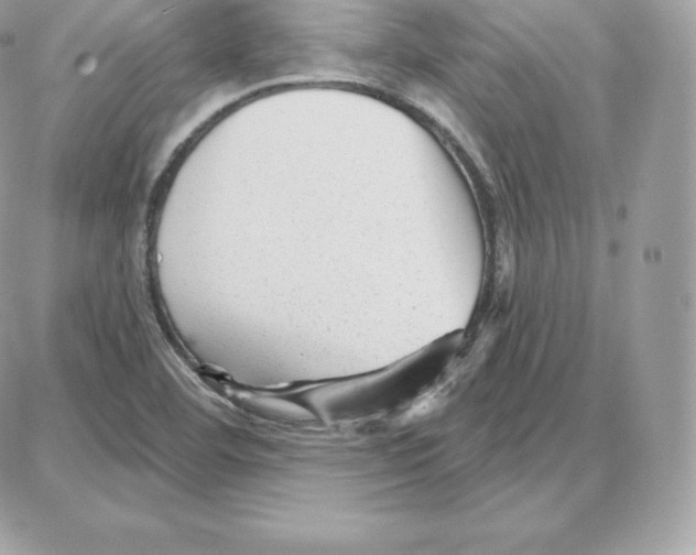 X0000087681460200706011642